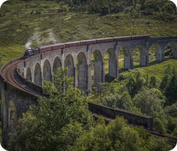 The Train