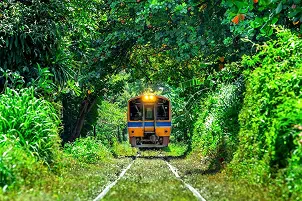 The Train